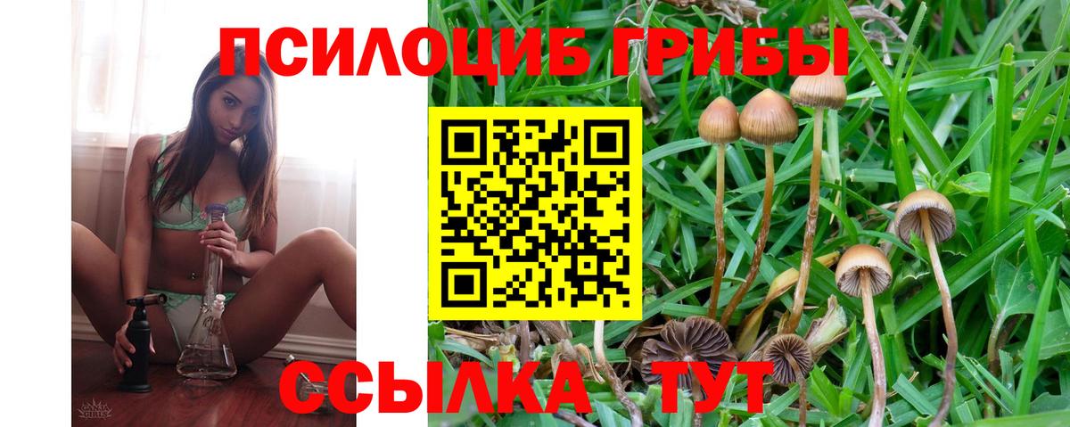 Псилоцибиновые грибы GOLDEN TEACHER Благовещенск