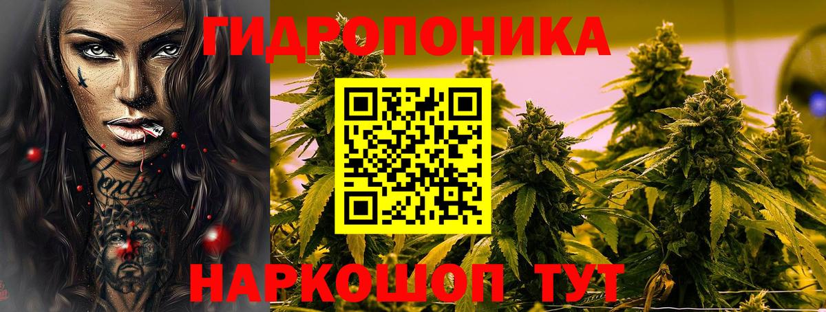 Каннабис VHQ  Каннабис тримм  Благовещенск  Бошки Шишки планчик  Вход с VPN  Бошки Шишки SATIVA & INDICA 